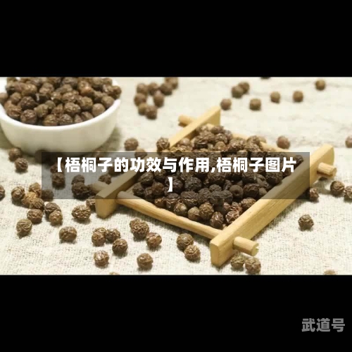 【梧桐子的功效与作用,梧桐子图片】