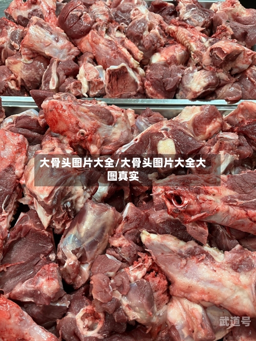 大骨头图片大全/大骨头图片大全大图真实