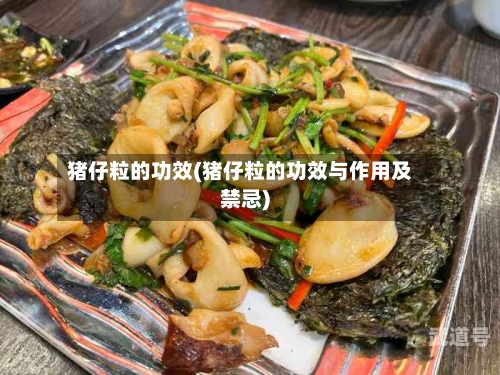 猪仔粒的功效(猪仔粒的功效与作用及禁忌)