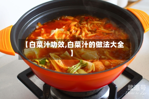 【白菜汁功效,白菜汁的做法大全】