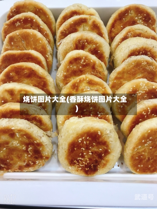 烧饼图片大全(香酥烧饼图片大全)