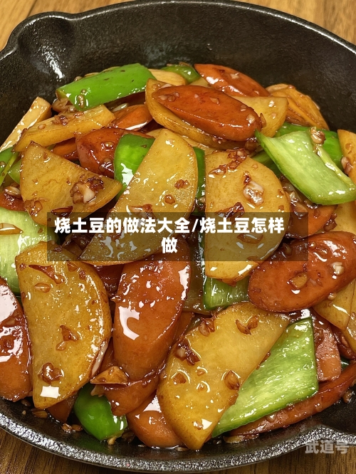 烧土豆的做法大全/烧土豆怎样做