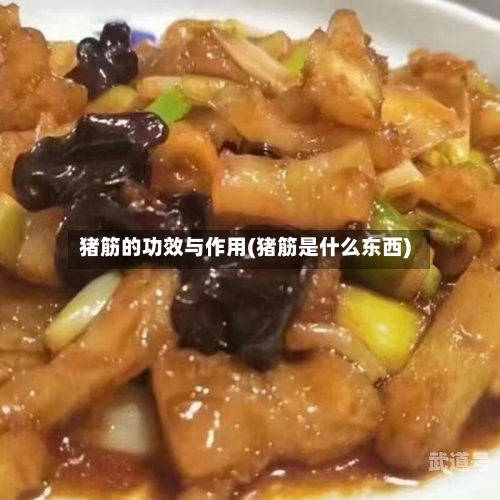 猪筋的功效与作用(猪筋是什么东西)
