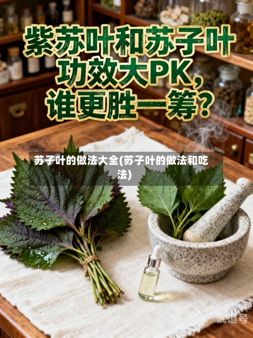 苏子叶的做法大全(苏子叶的做法和吃法)