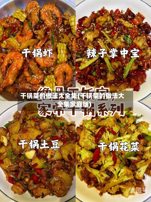干锅菜的做法大全集(干锅菜的做法大全集家庭版)