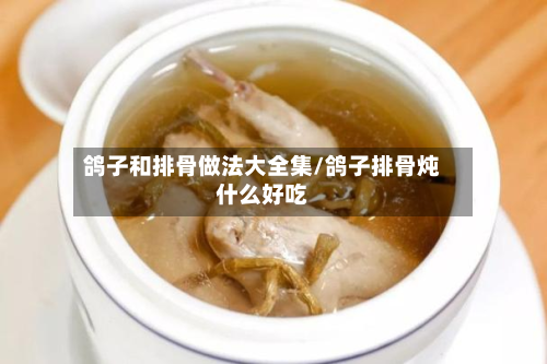 鸽子和排骨做法大全集/鸽子排骨炖什么好吃
