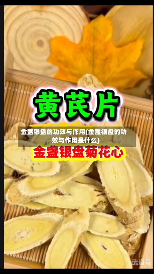 金盏银盘的功效与作用(金盏银盘的功效与作用是什么)