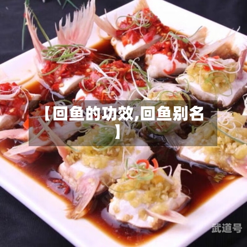 【回鱼的功效,回鱼别名】
