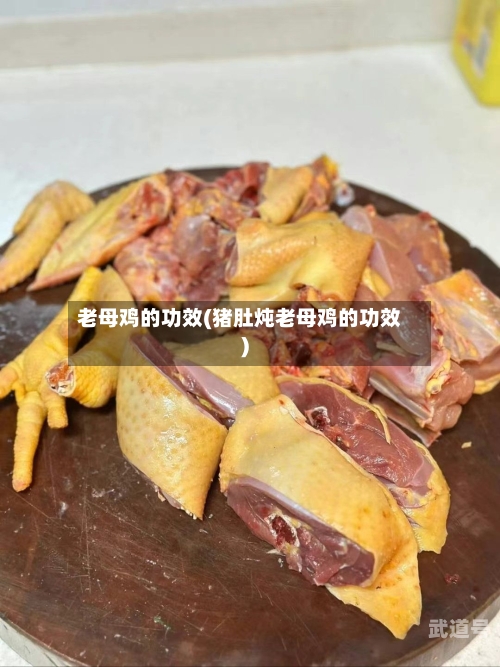 老母鸡的功效(猪肚炖老母鸡的功效)