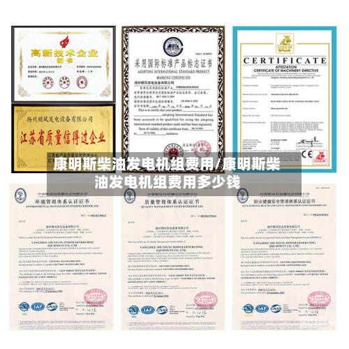 康明斯柴油发电机组费用/康明斯柴油发电机组费用多少钱-第2张图片