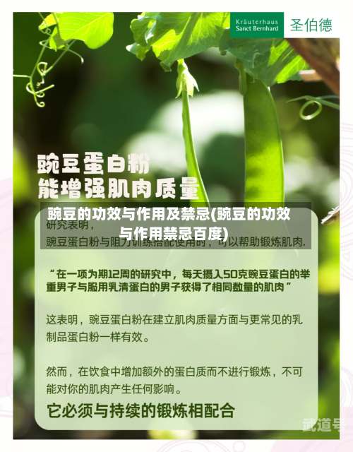 豌豆的功效与作用及禁忌(豌豆的功效与作用禁忌百度)