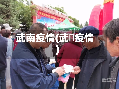 武南疫情(武汓疫情)