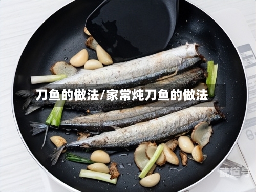 刀鱼的做法/家常炖刀鱼的做法