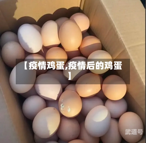【疫情鸡蛋,疫情后的鸡蛋】