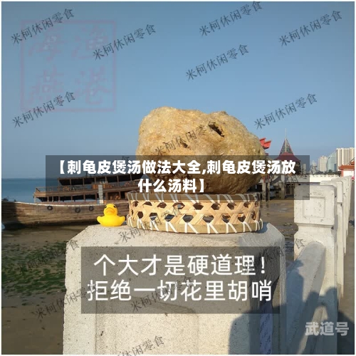 【刺龟皮煲汤做法大全,刺龟皮煲汤放什么汤料】