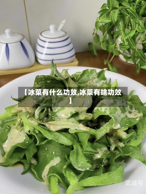 【冰菜有什么功效,冰菜有啥功效】