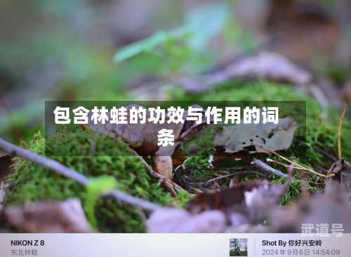 包含林蛙的功效与作用的词条