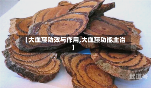 【大血藤功效与作用,大血藤功能主治】