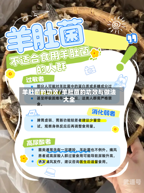 羊肚菌的功效/羊肚菌的功效与做法大全-第2张图片