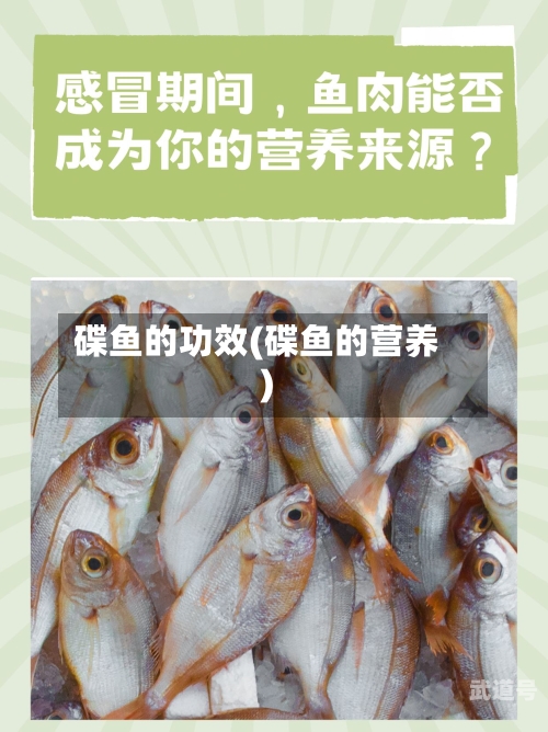 碟鱼的功效(碟鱼的营养)