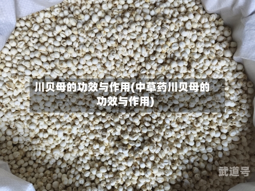 川贝母的功效与作用(中草药川贝母的功效与作用)