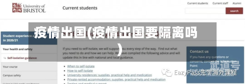 疫情出国(疫情出国要隔离吗)-第3张图片