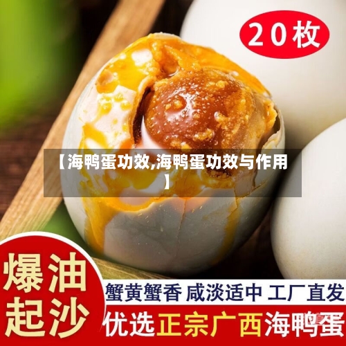 【海鸭蛋功效,海鸭蛋功效与作用】