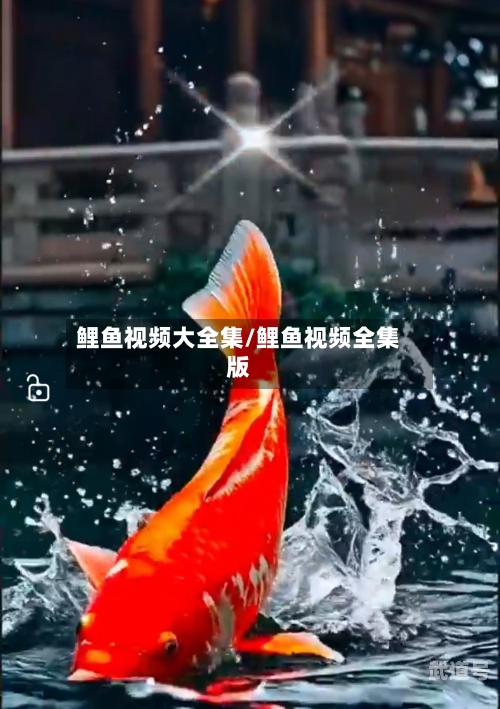 鲤鱼视频大全集/鲤鱼视频全集版