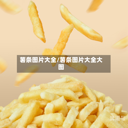 薯条图片大全/薯条图片大全大图