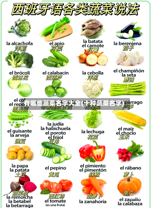 有哪些蔬菜名字大全(十种蔬菜名字)-第3张图片