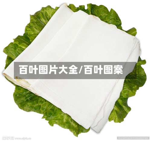 百叶图片大全/百叶图案