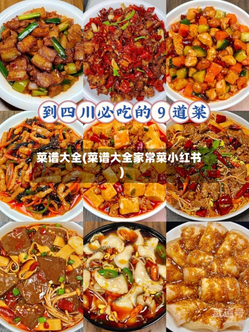 菜谱大全(菜谱大全家常菜小红书)-第3张图片