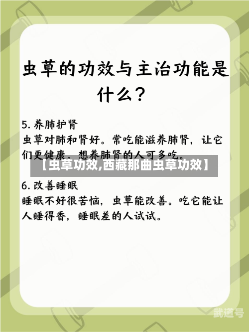 【虫草功效,西藏那曲虫草功效】