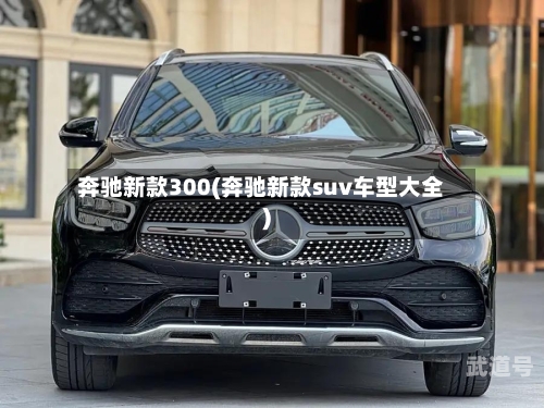 奔驰新款300(奔驰新款suv车型大全)
