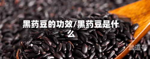 黑药豆的功效/黑药豆是什么