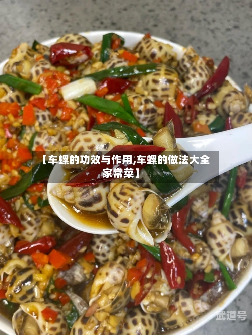【车螺的功效与作用,车螺的做法大全家常菜】
