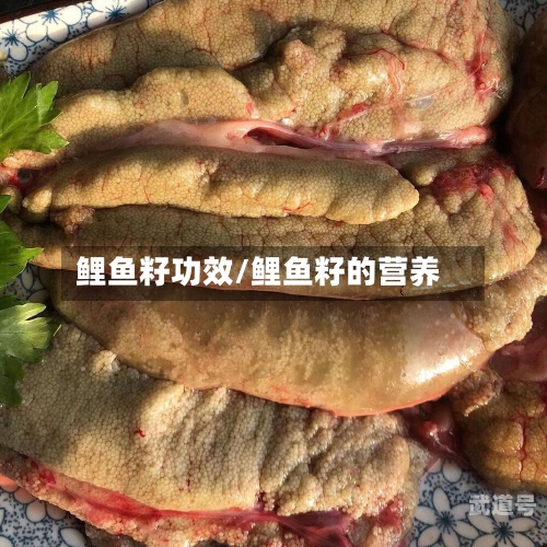鲤鱼籽功效/鲤鱼籽的营养