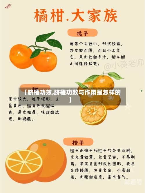 【脐橙功效,脐橙功效与作用是怎样的】-第3张图片