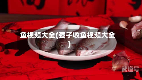 鱼视频大全(强子收鱼视频大全)