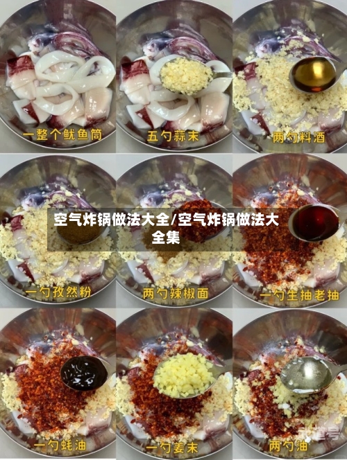 空气炸锅做法大全/空气炸锅做法大全集