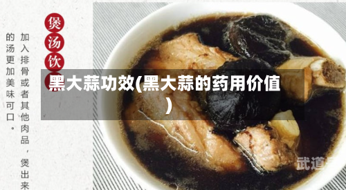 黑大蒜功效(黑大蒜的药用价值)