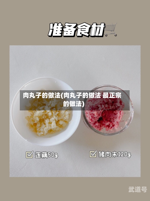 肉丸子的做法(肉丸子的做法 最正宗的做法)