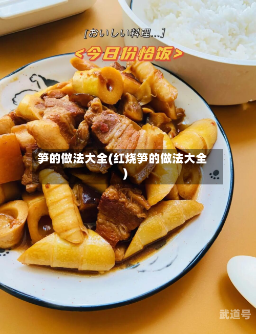 笋的做法大全(红烧笋的做法大全)