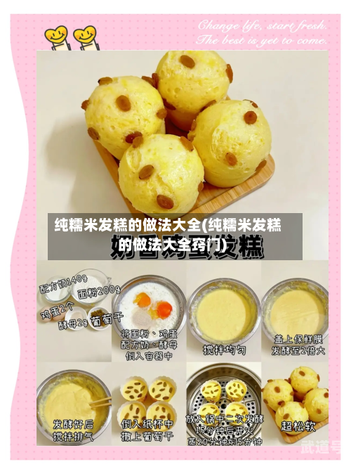 纯糯米发糕的做法大全(纯糯米发糕的做法大全窍门)