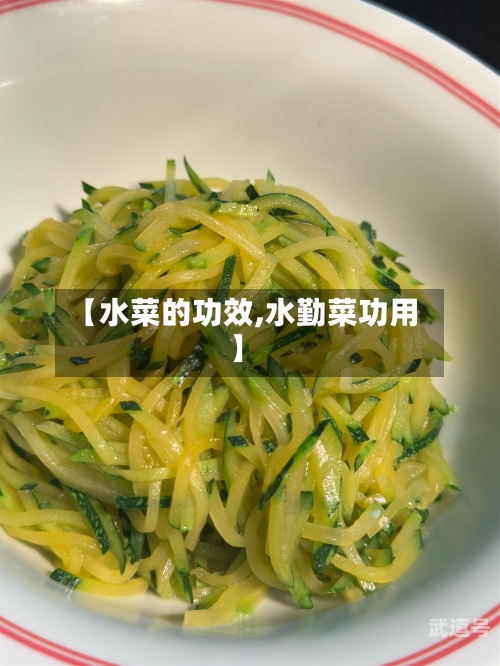 【水菜的功效,水勤菜功用】