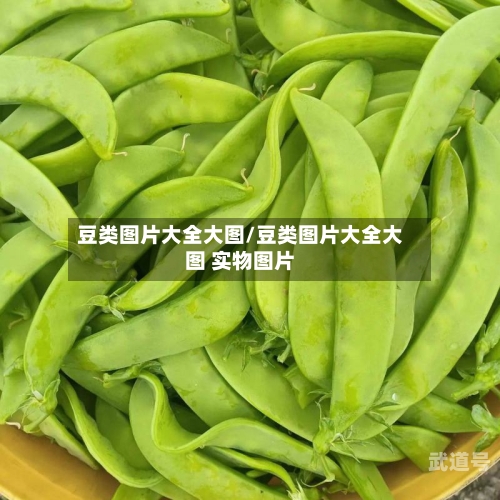 豆类图片大全大图/豆类图片大全大图 实物图片