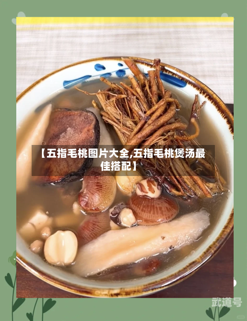 【五指毛桃图片大全,五指毛桃煲汤最佳搭配】