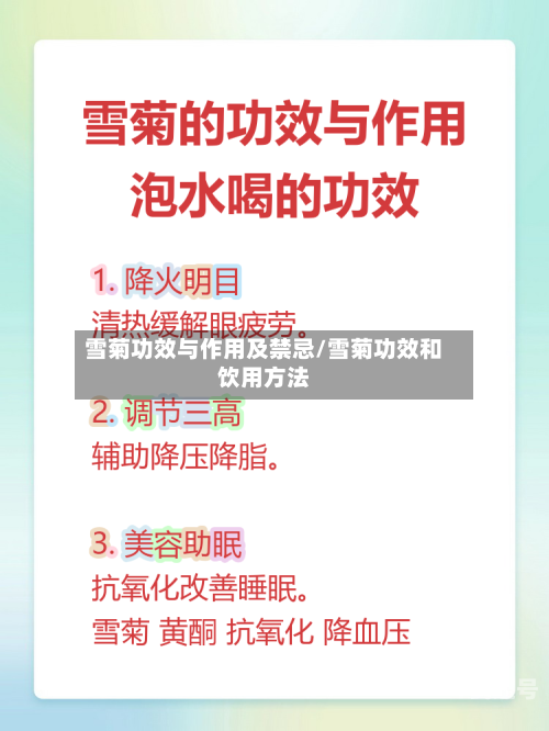 雪菊功效与作用及禁忌/雪菊功效和饮用方法