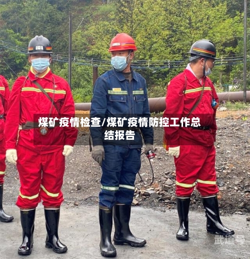 煤矿疫情检查/煤矿疫情防控工作总结报告