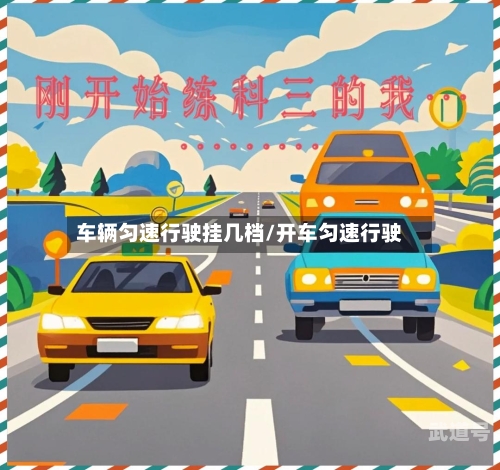 车辆匀速行驶挂几档/开车匀速行驶